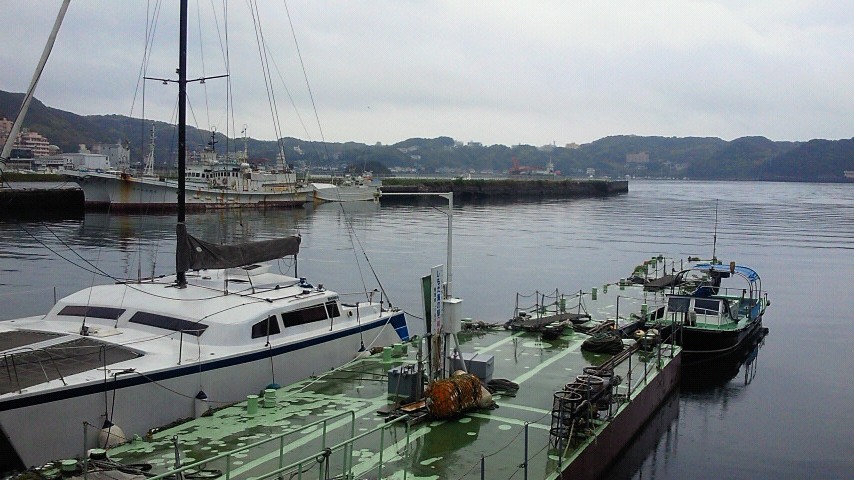b0084893_8413781.jpg