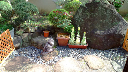 e0019594_17331380.jpg