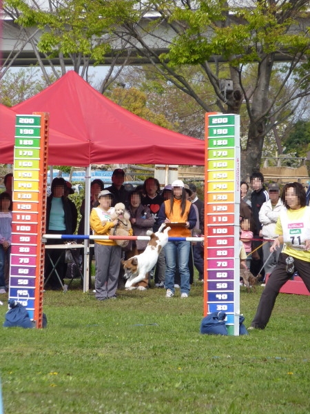 c0044199_23365971.jpg