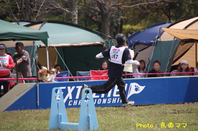 c0044199_23391755.jpg