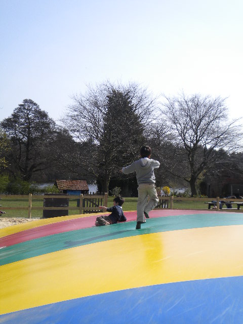 e0160905_5452835.jpg