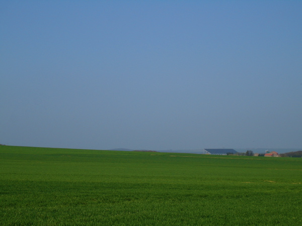 d0135907_21461182.jpg