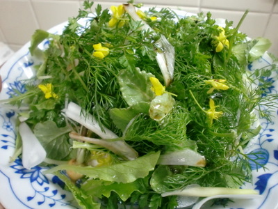 f0144707_182930100.jpg