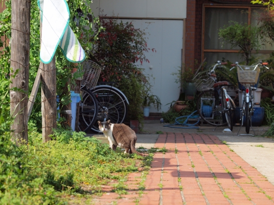 c0136217_1724181.jpg