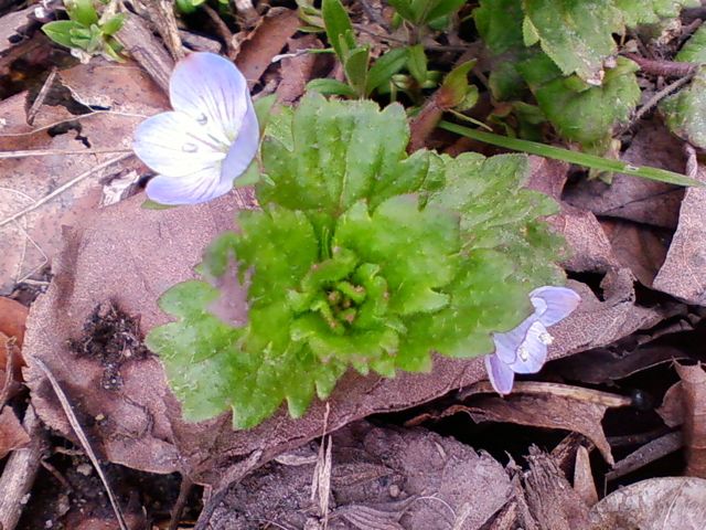 e0111220_11202920.jpg