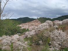 d0049221_23294325.jpg