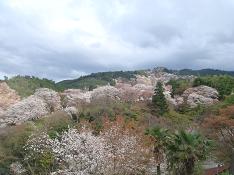 d0049221_23295070.jpg
