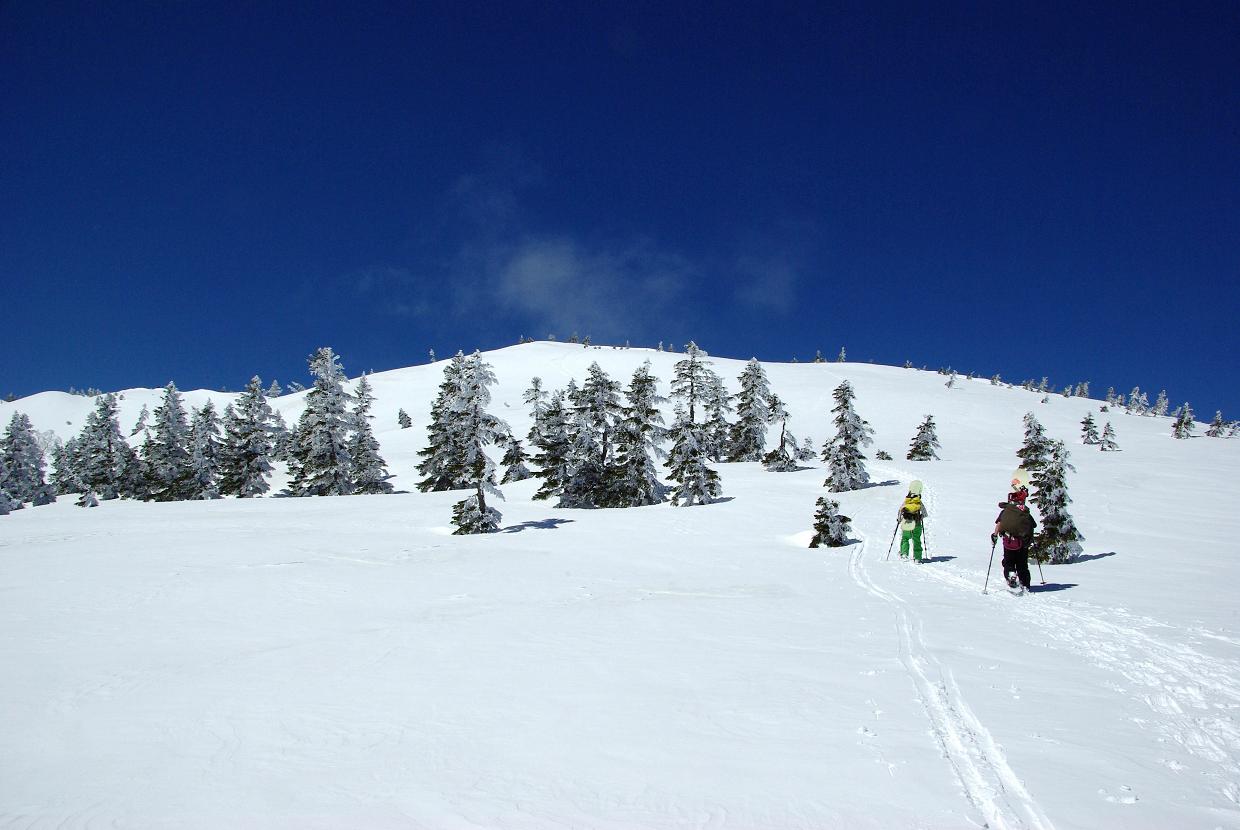 b0062024_19133086.jpg