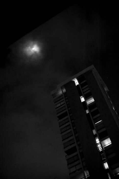 f0066434_16471945.jpg