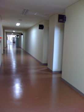 f0131934_943564.jpg
