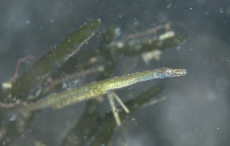 b0042837_20481242.jpg