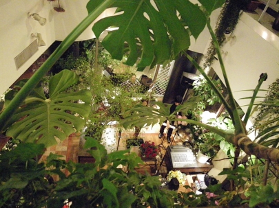 d0136439_4282465.jpg