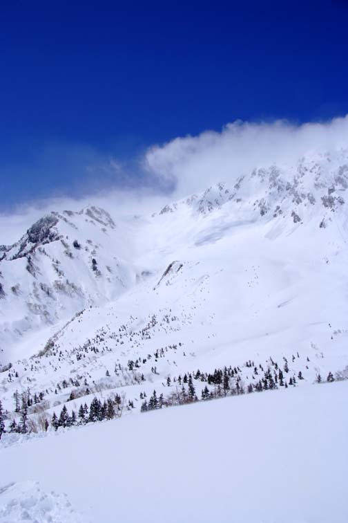 b0075541_7373674.jpg