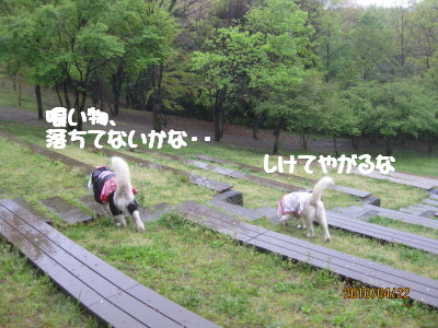 e0121548_2204296.jpg