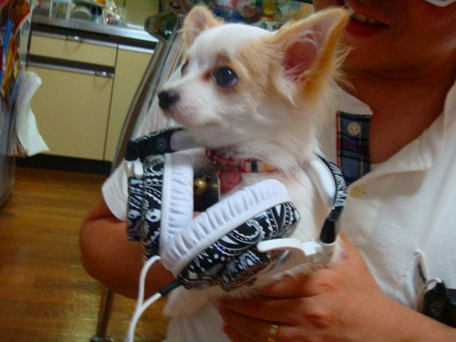 b0009651_10113553.jpg