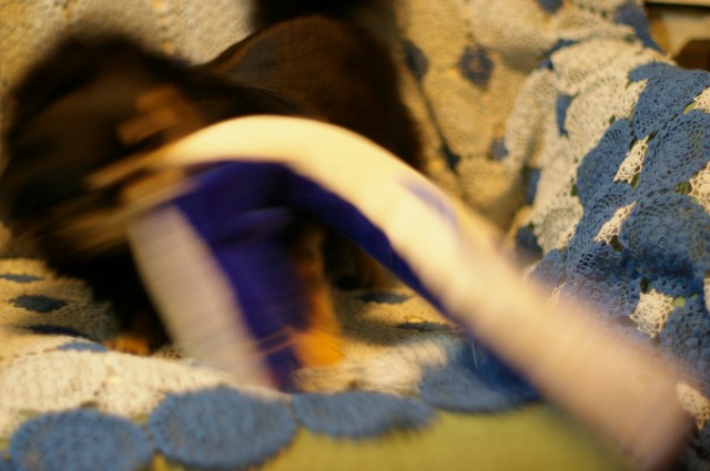 f0154751_16473153.jpg