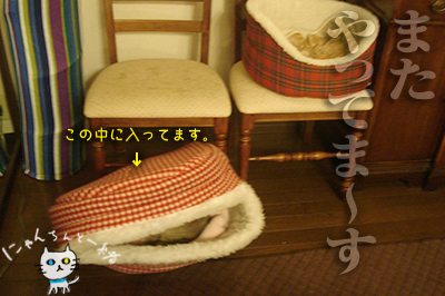 e0031853_21481957.jpg