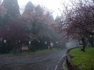 c0208355_1444839.jpg