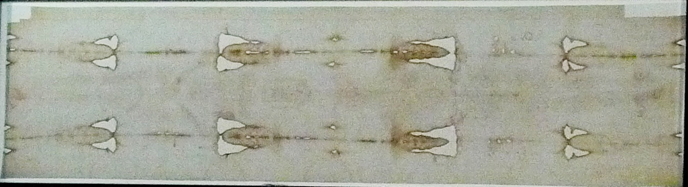 f0204955_22162273.jpg