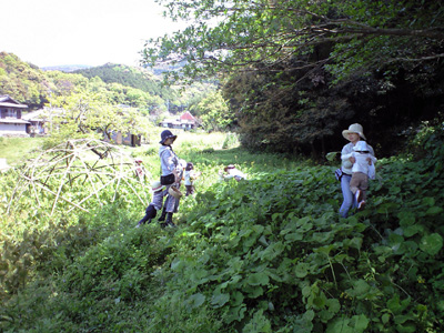 f0201557_1346990.jpg