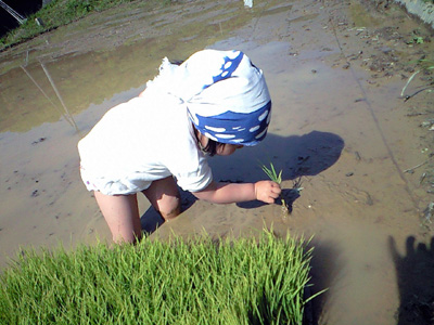 f0201557_14254487.jpg