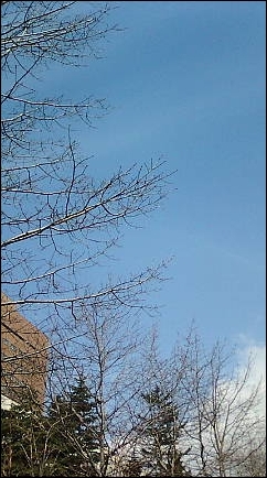 d0145759_139126.jpg