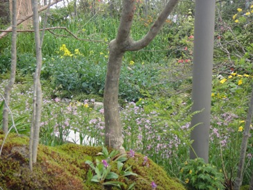 f0195963_949401.jpg