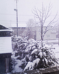 a0050669_0495310.jpg