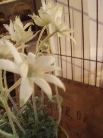 c0214272_0188100.jpg