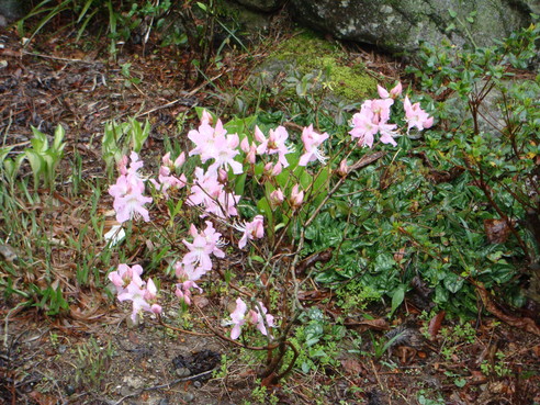 f0231573_20121944.jpg