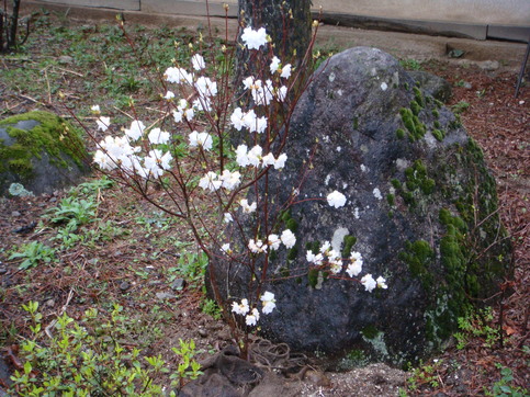 f0231573_20125940.jpg