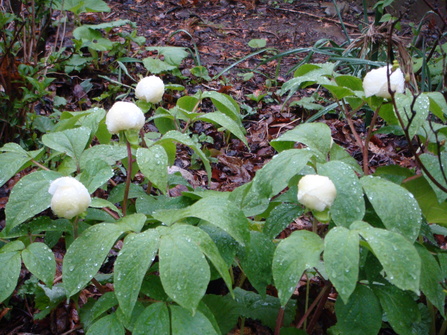 f0231573_20142534.jpg