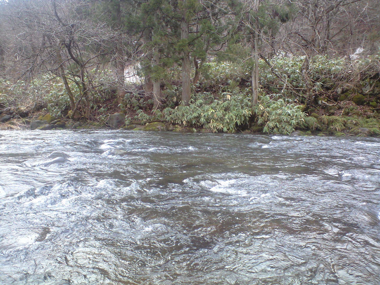 a0093677_21142831.jpg