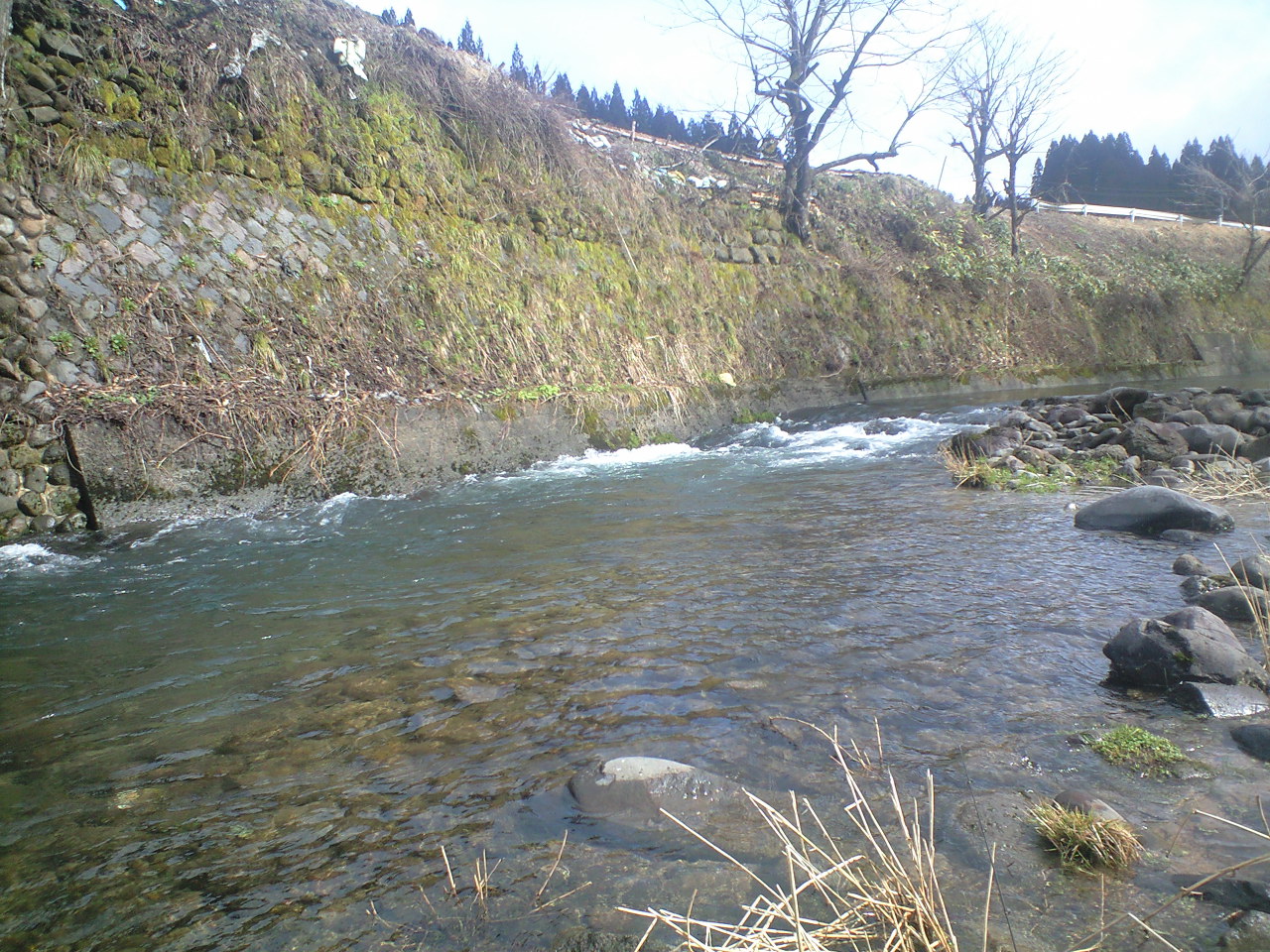 a0093677_2122155.jpg