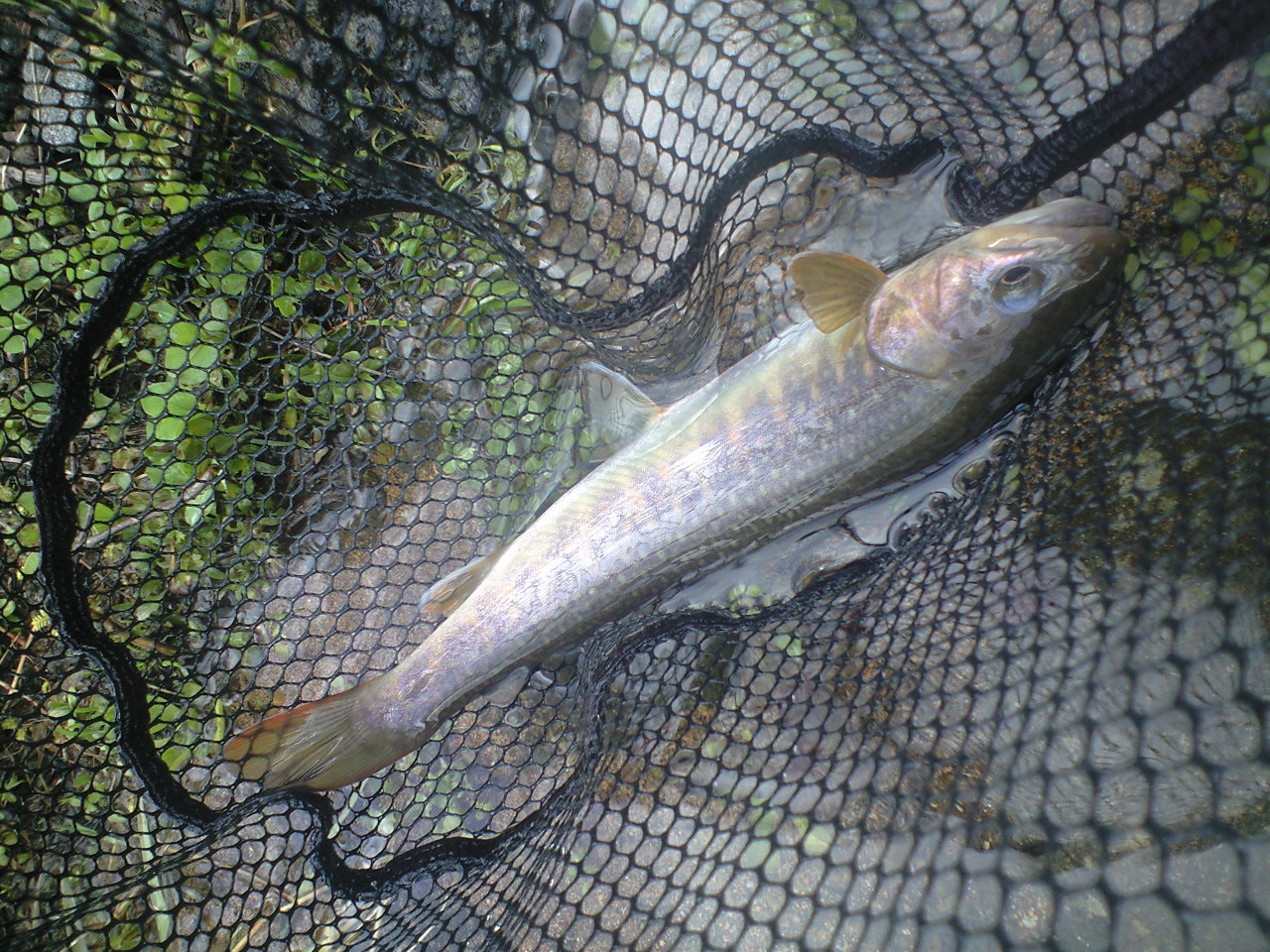 a0093677_21304041.jpg