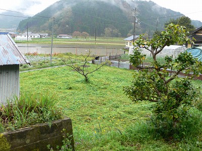 b0042882_2322647.jpg