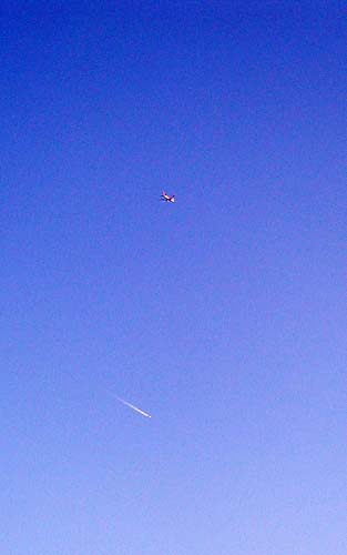 f0092382_394129.jpg