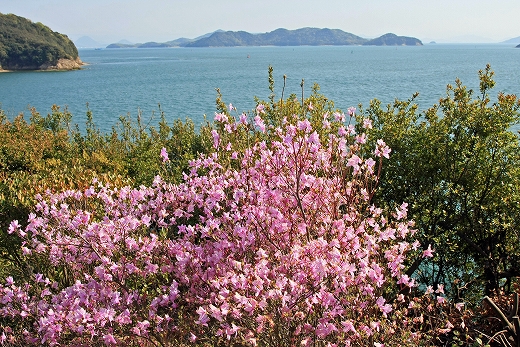 e0190885_20102592.jpg