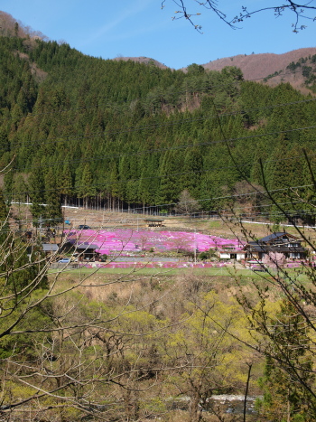 f0103688_8232161.jpg