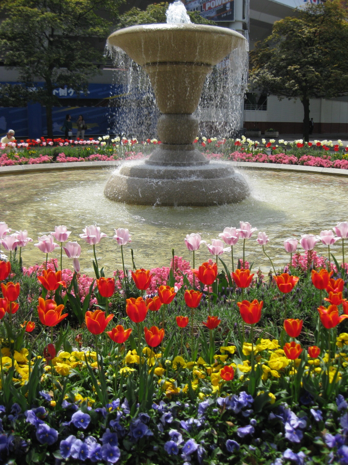 f0164989_310592.jpg