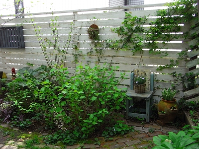 c0207890_1161617.jpg
