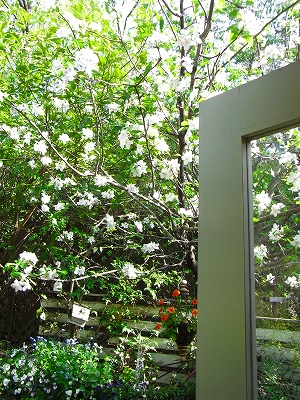 c0207890_1385282.jpg