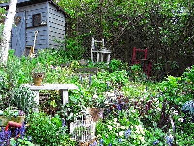 c0207890_164853.jpg