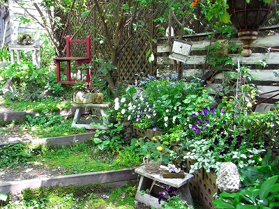 c0207890_171245.jpg