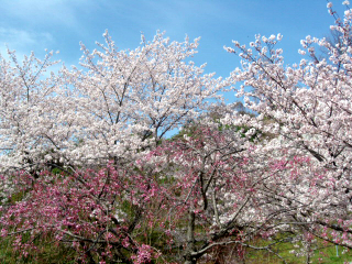 b0013897_20113464.jpg