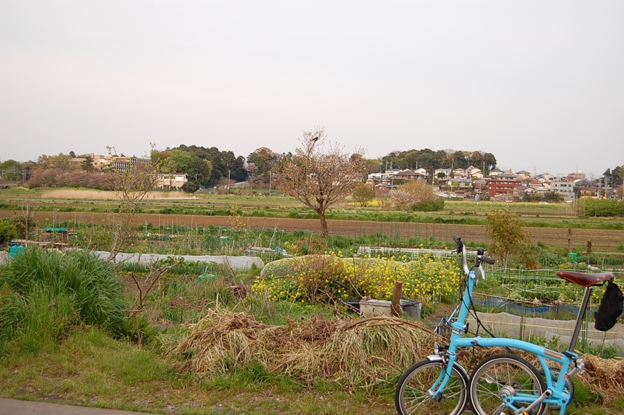 a0141498_21571889.jpg