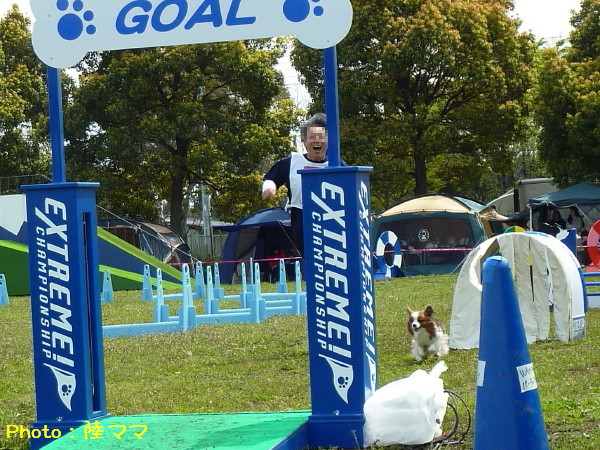 c0044199_0154310.jpg