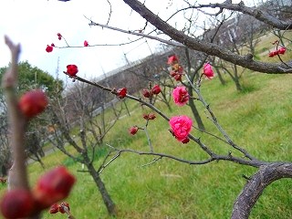 c0228404_16361120.jpg