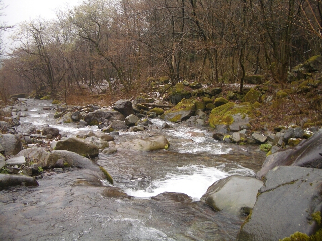 b0172805_6362449.jpg