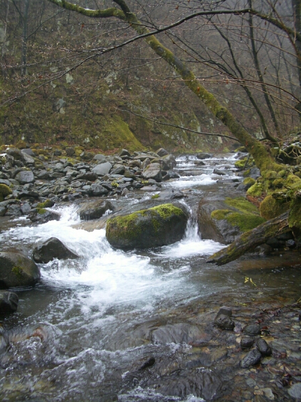 b0172805_6391897.jpg
